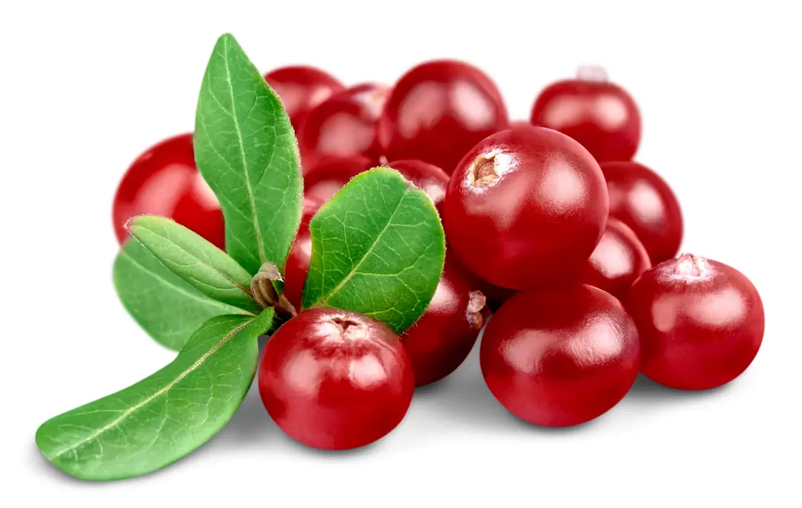 Cranberry in Urosaf Capsules