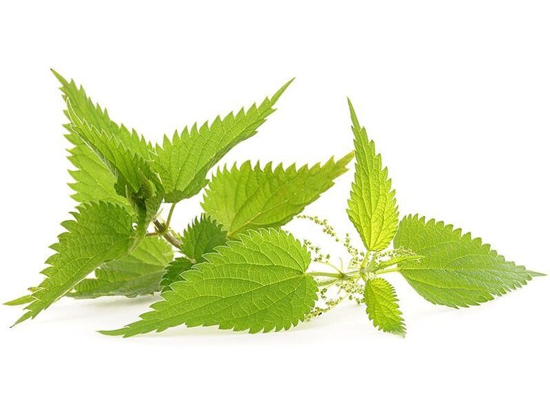 Nettle in Urosaf Capsules